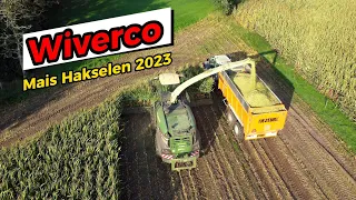 Mais Hakselen 2023 - Wiverco - Krone Big X - 1180 met 12 rijen