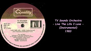 TV Sounds Orchestra - Live The Life I Love (Instrumental) - 1983