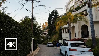Walk With Me in a rich neighborhood at #losangeles #hollywoodhills 4K
