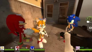 Left4Dead: Sonic The Hedgehog Mod - Sonic, Knuckles, Tails, & Amy!