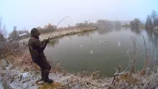 Не думал, что в этом прудике ТАКИЕ водятся! Рыбалка по-Русову удалась!