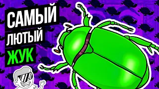 НАВОЗНЫЙ ЖУК - Самый СИЛЬНЫЙ жук в мире? - ВАУМАШИН (анимация)