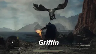 Dragon's Dogma 2 Thief vs  Griffin