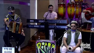 No crezcas más - La Fievre Looka (en vivo)