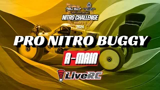 Pro Nitro Buggy A-Main | 2024 Dirt Nitro Challenge