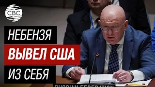 США обвинили Россию: Вы цинично подрываете мир! Небензя вывел США из себя на СБ ООН