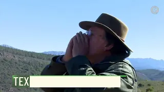 26.500 árboles más en la comarca de Villuercas-Ibores-Jara | Territorio Extremadura