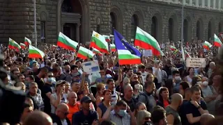 Болгарское "Ядовитое трио" идёт в политику