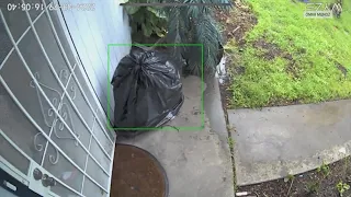Porch pirate hides in trash bag while stealing package in California