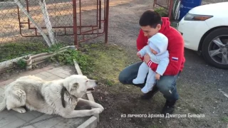 Дмитрий Бивол Бокс в лицах