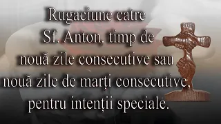 Rugaciune catre Sf. Anton timp de nouă zile consecutive sau nouă zile de marți consecutive