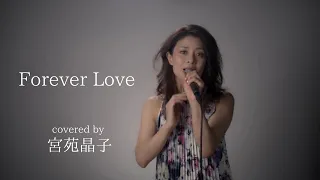 「Forever Love / X JAPAN」宮苑晶子（Shoko Miyasono）