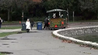 Caught on cam: Tourists jump from runaway Vancouver horse carriage