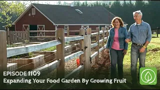 Growing a Greener World Episode 1109: Expanding Your Food Garden By Growing Fruit