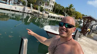 🔴Livestream Fishing a Florida Canal 🔴