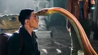 Many Year Ago He Saved The Baby Snake Now She Protect Him By Sucking Venom From His Body