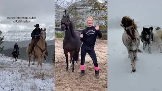 Horse TikToks That Went Viral! #9