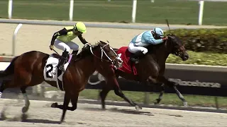 Gulfstream Park Replay Show | February 25, 2023