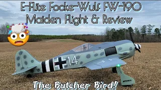 E-Flite 1.5M PNP Focke Wulf FW-190 Maiden Flight & Review #rc #rcairplane #rcplane