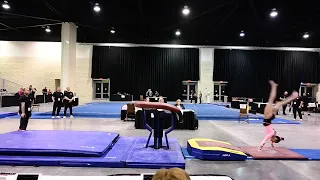 Tori Hess | 2024 DP National Vault | 9.550, AA 38.225 (5th)