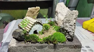 make in simple moss garden ll mini moss garden ll moss ll Miniature moss garden ll #moss