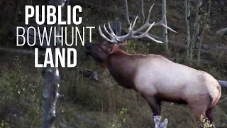 Bow Hunting Public Land Elk in September