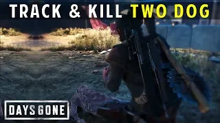 How Many Bodies | Track and Kill Two Dog | Days Gone