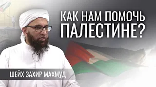 Как нам помочь Палестине? | Шейх Захир Махмуд