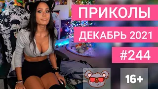 😂 ЛУЧШИЕ ПРИКОЛЫ ДЕКАБРЬ 2021 | Я РЖАЛ ДО СЛЕЗ | Выпуск №244