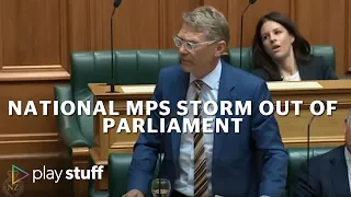 Paul Goldsmith, Simon Bridges storm out of Parliament over stoush with Trevor Mallard | Stuff.co.nz