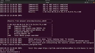 busco tutorial to check genome assembly completeness