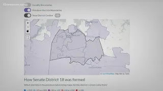 Sen. Louise Lucas lashes out against Northern Virginia Democrats, redistricting lines drawn