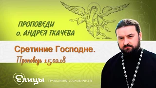 Сретение Господне Протоиерей Андрей Ткачев  Проповедь 15. 02.18