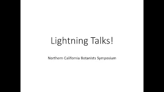 LightningTalks