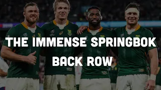 The Immense Springbok Back Row Against The British and Irish Lions