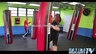 Filip Hrgovic | Training Highlights | 4K