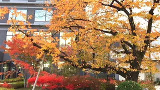 高山グリーンホテル (岐阜県高山市) Takayama Green Hotel, Gifu