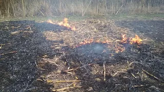 Поджёг кукурузу.