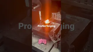 Screw press forging/ profile forging/ hot forging / close forging