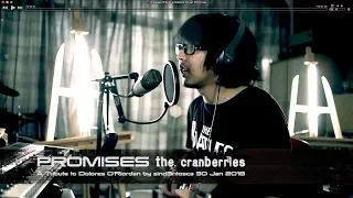 Promises | A Tribute to Dolores O'Riordan | The Cranberries | sind3ntosca