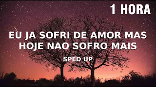 [1 HORA] Eu já sofri por amor, mas não sofro mais (sped up) tiktok version