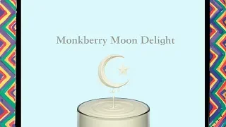 Monkberry Moon Delight - Paul McCartney full cover