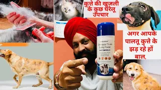 How to Treat Skin & Hairfall/Loss Problem In Dogs/Cats - Live Show 287 on 31/3/22 Q&A. BholaShola.