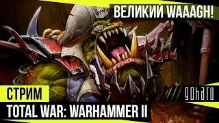 Total War: WARHAMMER II - Великий WAAAGH!