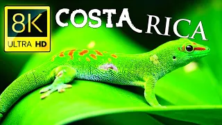 COSTA RICA IN 4K 60fps HDR (ULTRA HD)