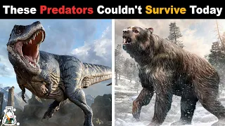 10 Extinct Predators That Couldn't Survive Today