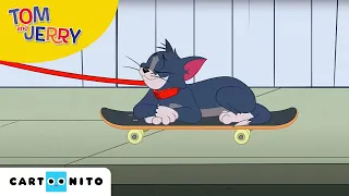 Tom und Jerry | Gassigehen | Cartoonito