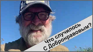 ФЕДОР ДОБРОНРАВОВ УДИВИЛ ПОКЛОННИКОВ СВОИМ ВИДОМ