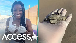 Simone Biles Rescues Baby Turtles On Vacation