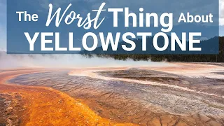 The Worst Thing About Yellowstone National Park (and how to avoid it)!